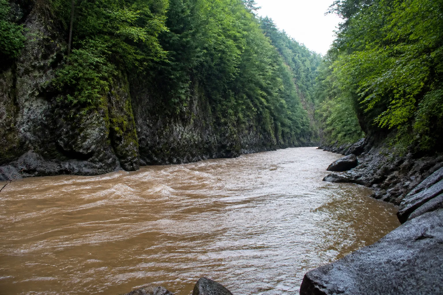 Rivière encaissée entre des rives rocheuses après une pluie