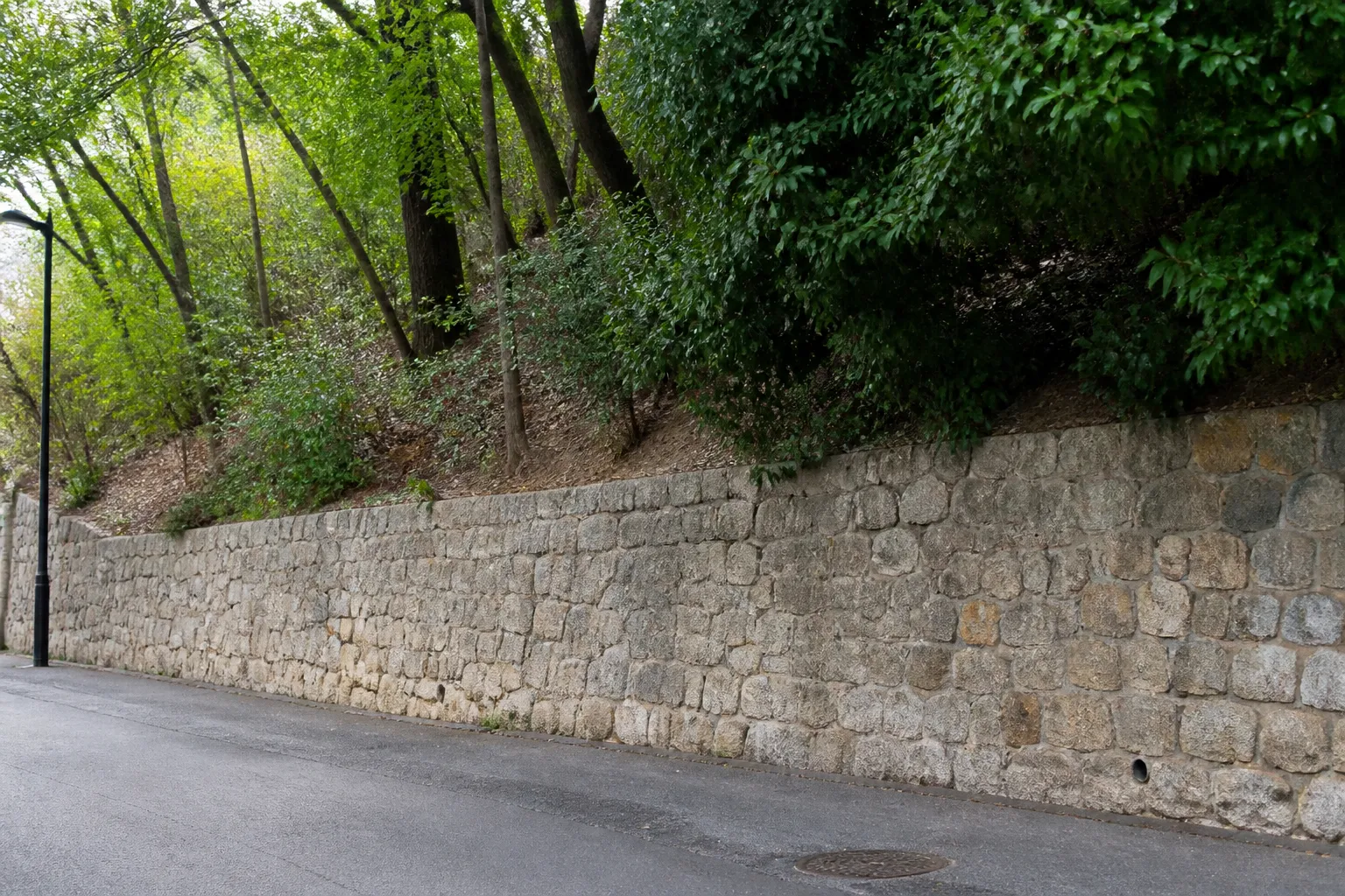 Talus boisé et mur de soutènement au-dessus d’une rue