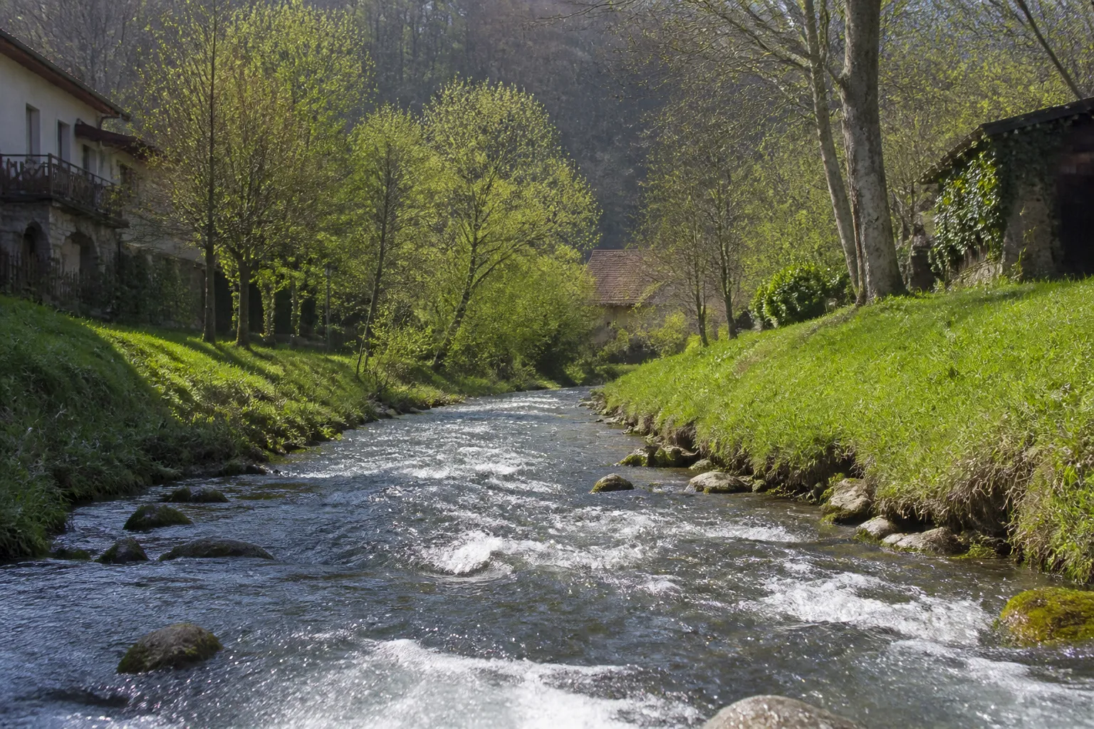 Petite rivière au cours vif entre des berges herbeuses