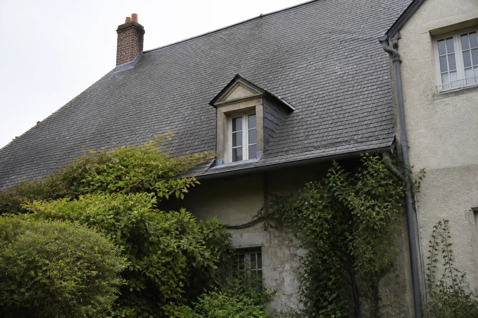 Toiture en ardoise vue depuis un jardin avec gouttière