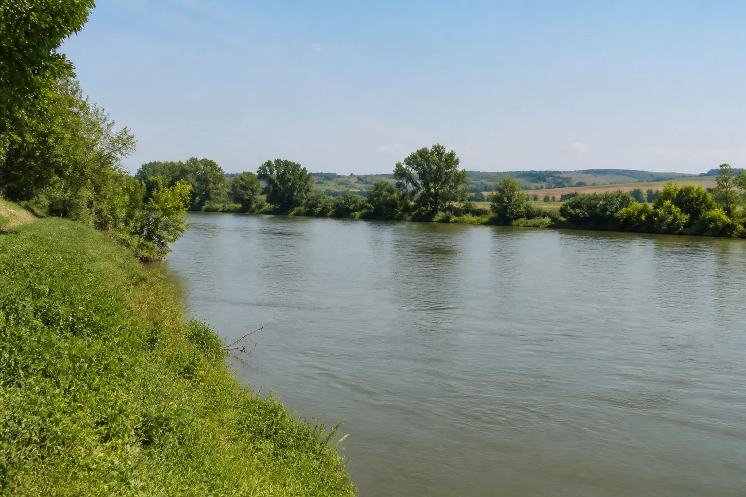 Berge d’une large rivière bordée d’arbres en plaine