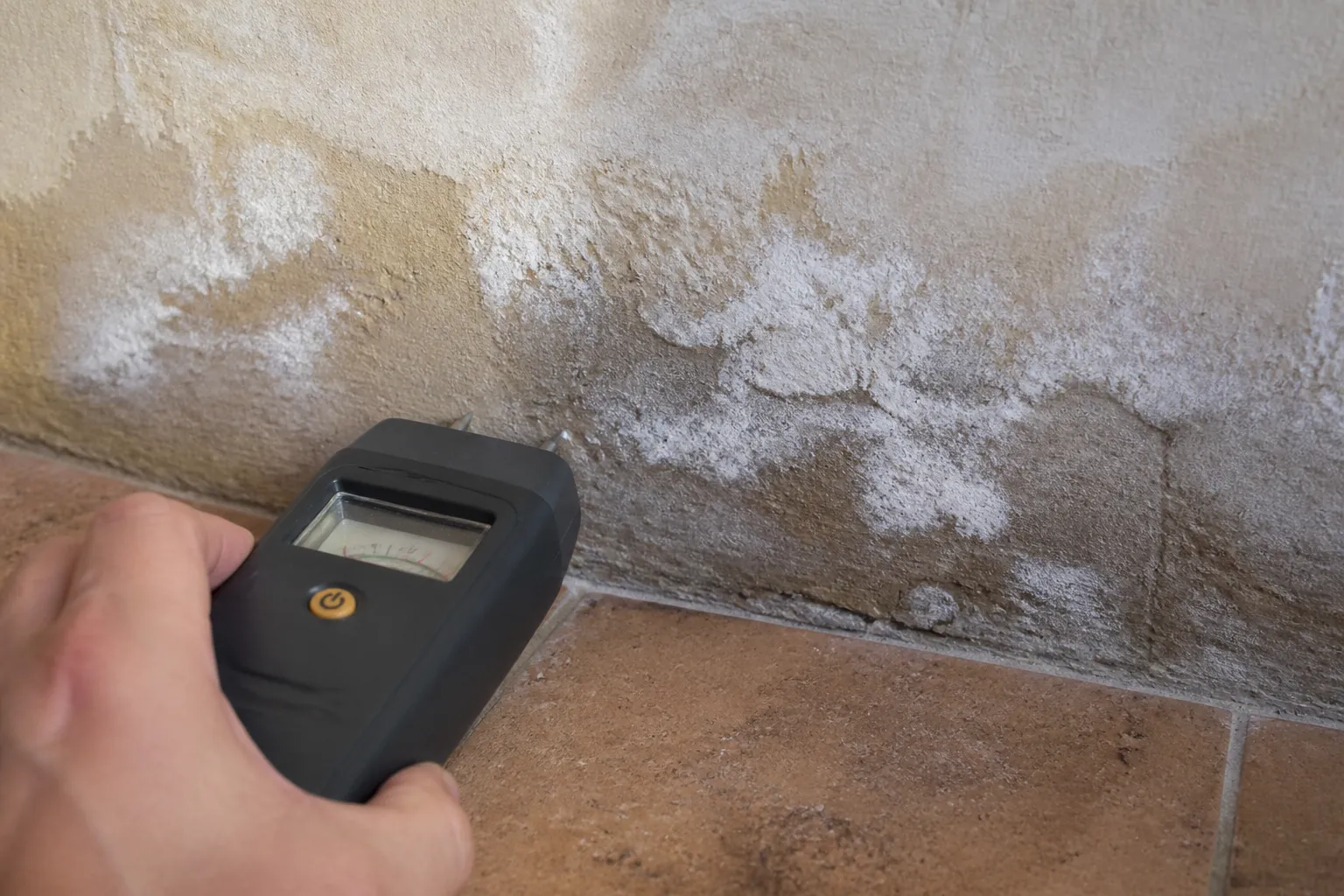 Mesure d’humidité au pied d’un mur de rez-de-chaussée
