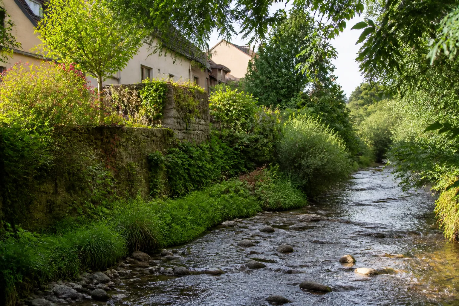 Petit ruisseau en contrebas de jardins et de maisons