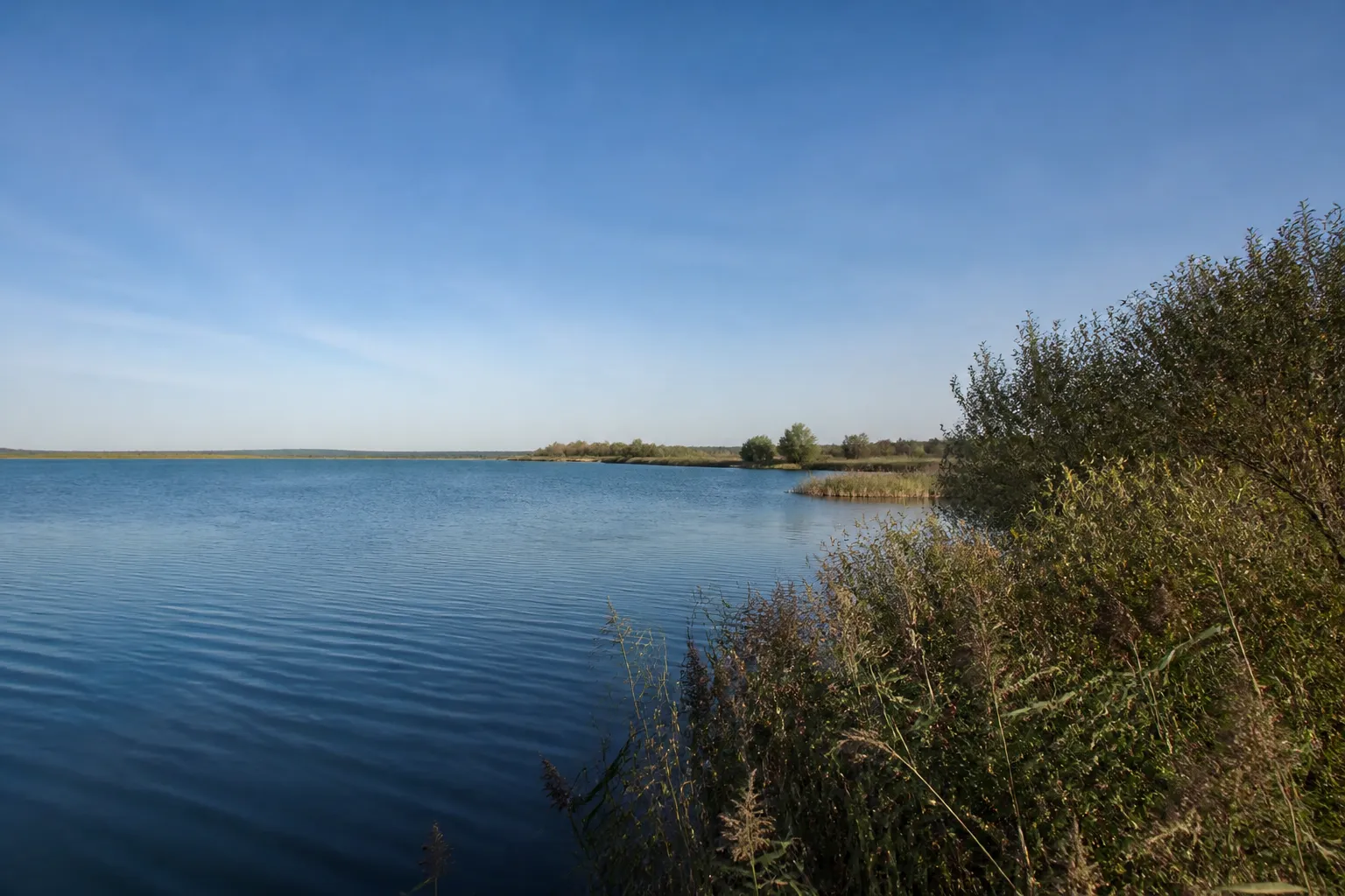 Rive d’un plan d’eau bordée de végétation basse