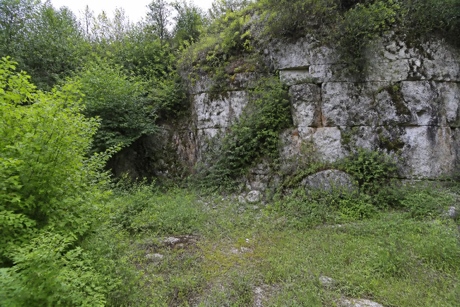 Front de taille d’une ancienne carrière de pierre envahi par la végétation