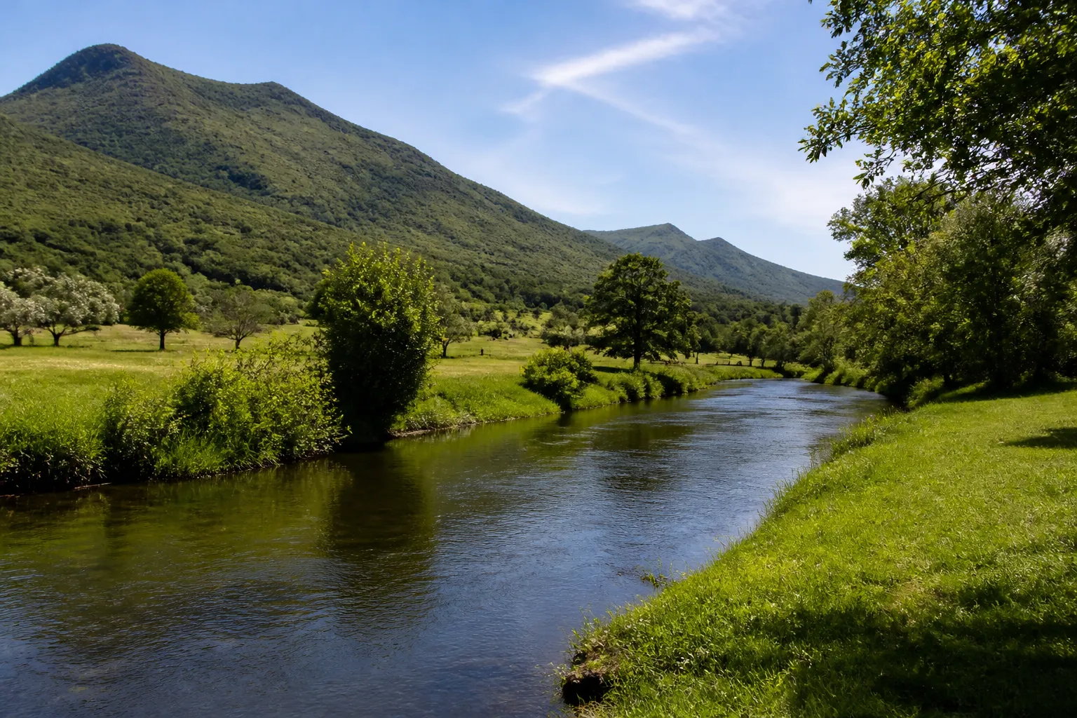Berge enherbée d’une rivière calme en plaine