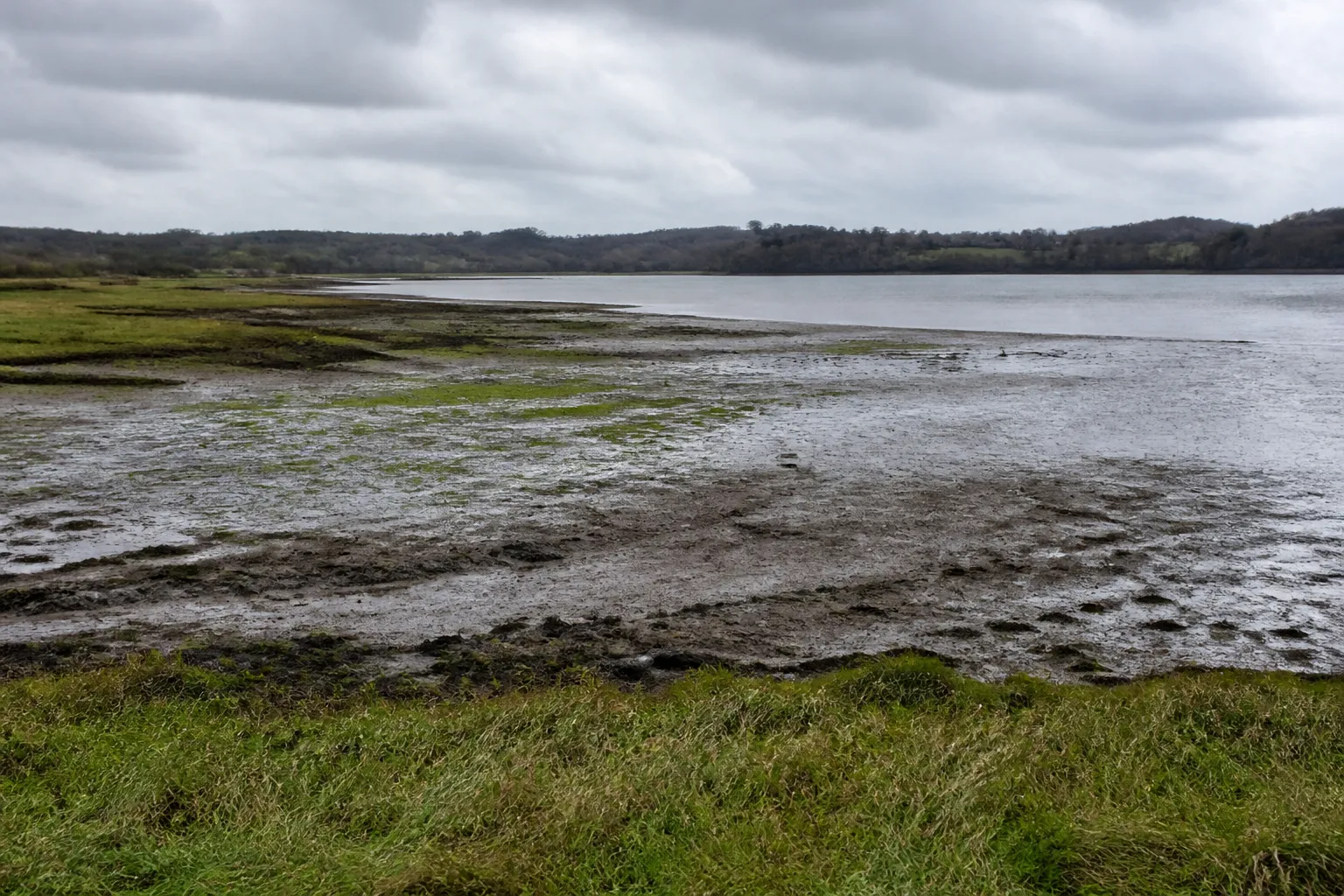 Rives d’un estuaire à marée basse avec prairies humides