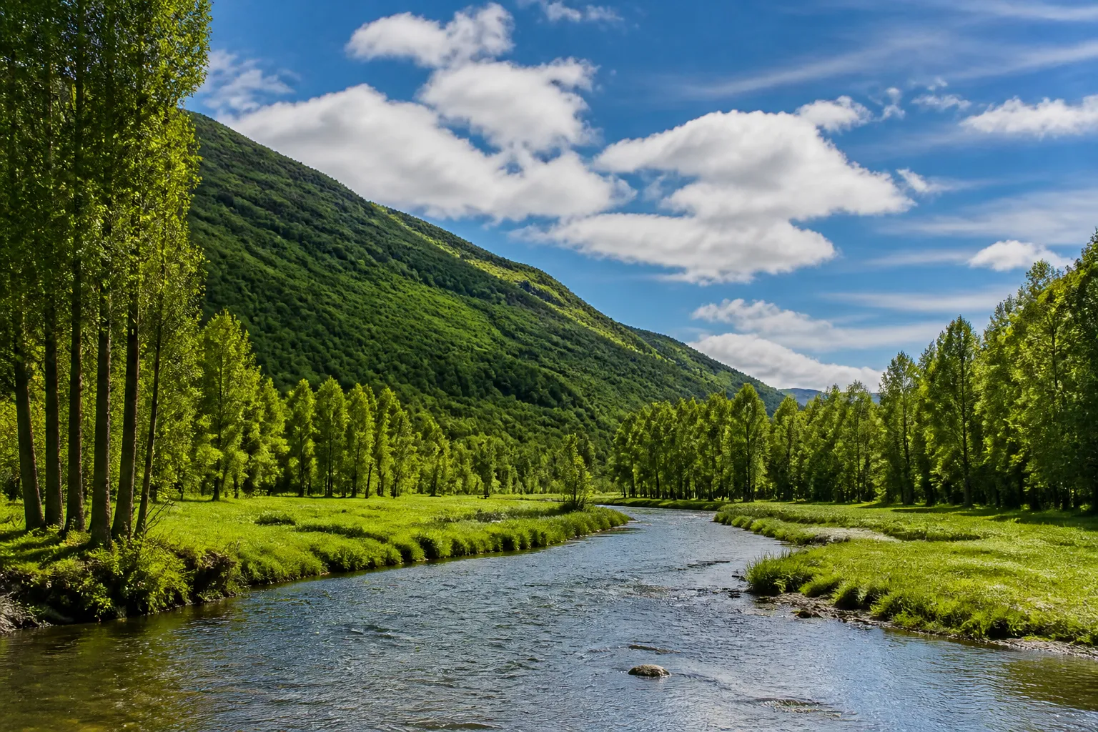 Rivière bordée de prairies et de peupliers en fond de vallée