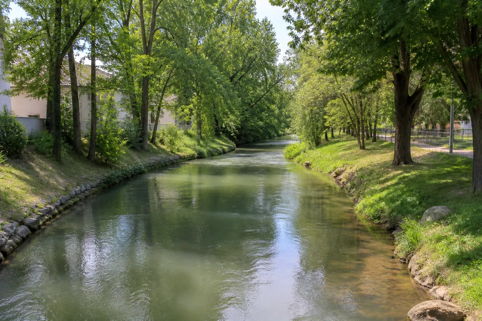 Rivière bordée d’arbres en périphérie urbaine