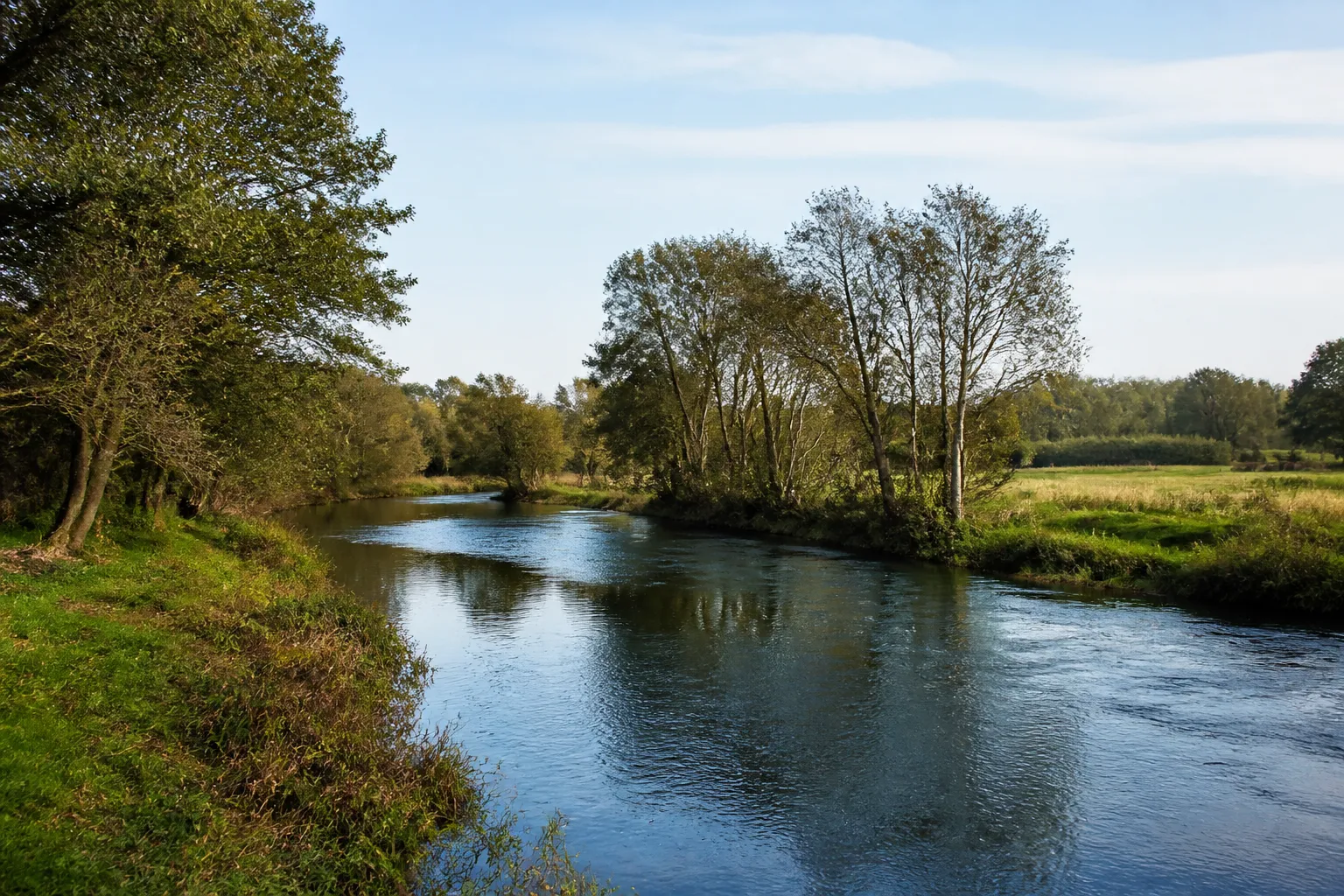 Rivière calme en bordure de prairie