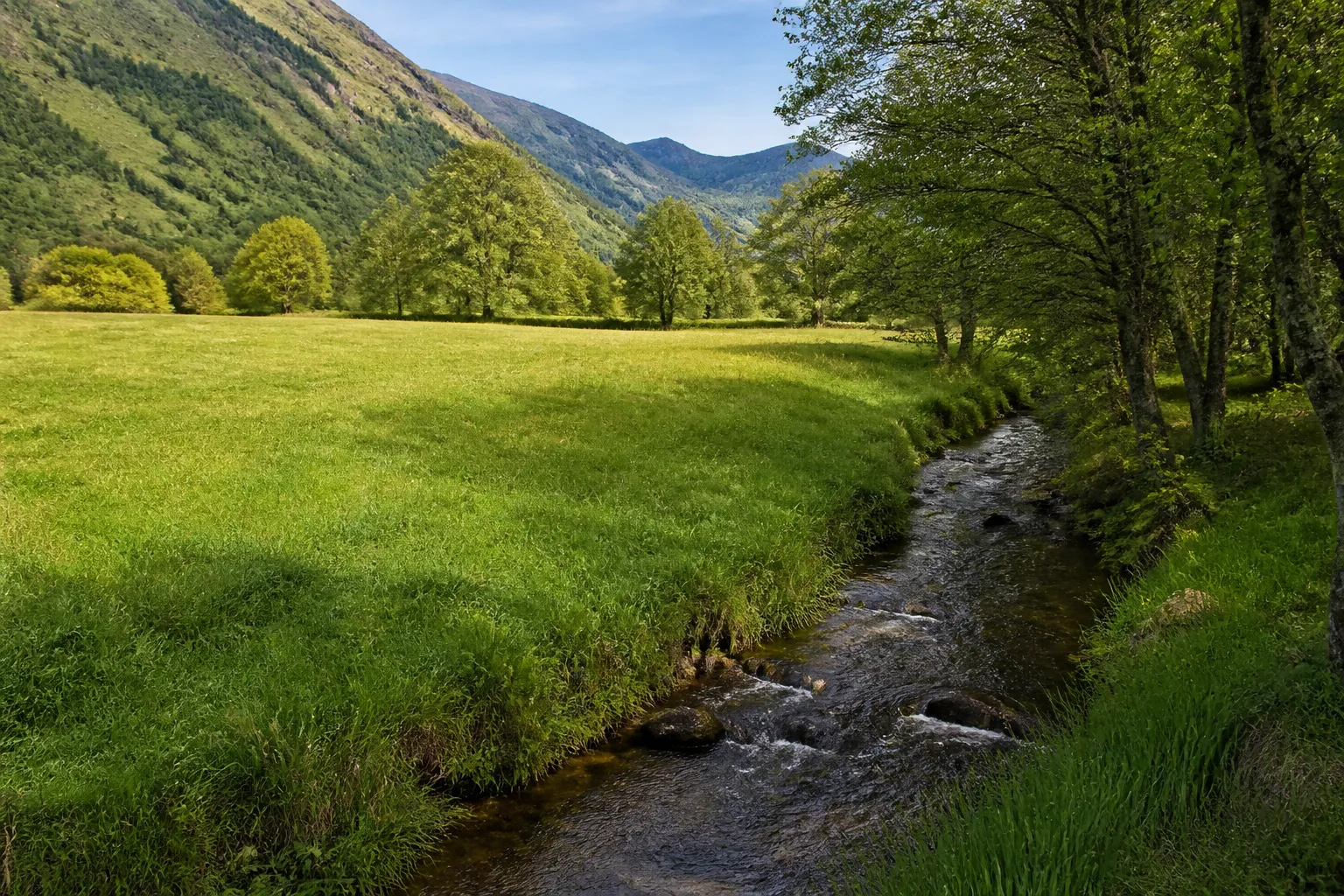 Ruisseau bordé d’arbres dans une vallée bretonne