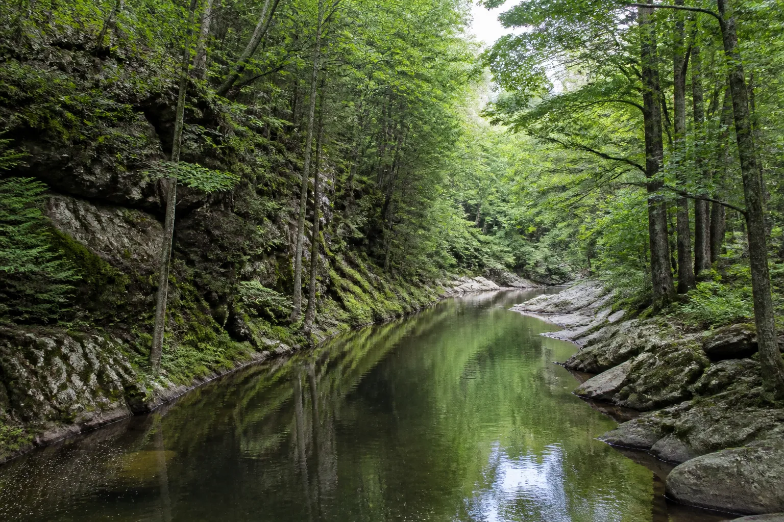 Rivière encaissée bordée de bois