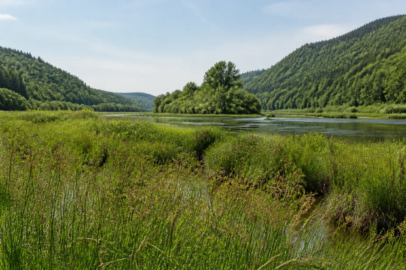 Prairie humide et rivière dans une plaine alluviale de moyenne montagne