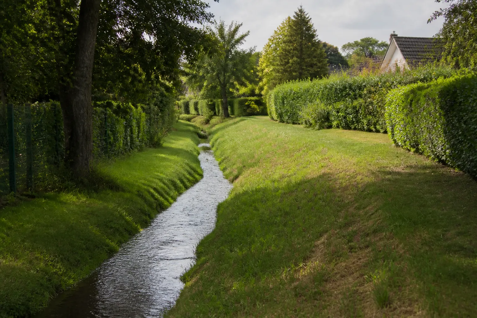 Fossé et petit ruisseau longeant des jardins de maisons