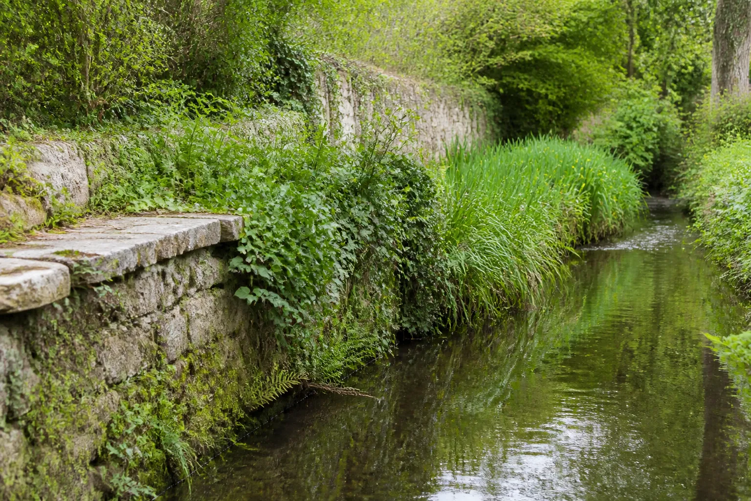Berge de canal avec muret en pierre et végétation au fond d’un jardin