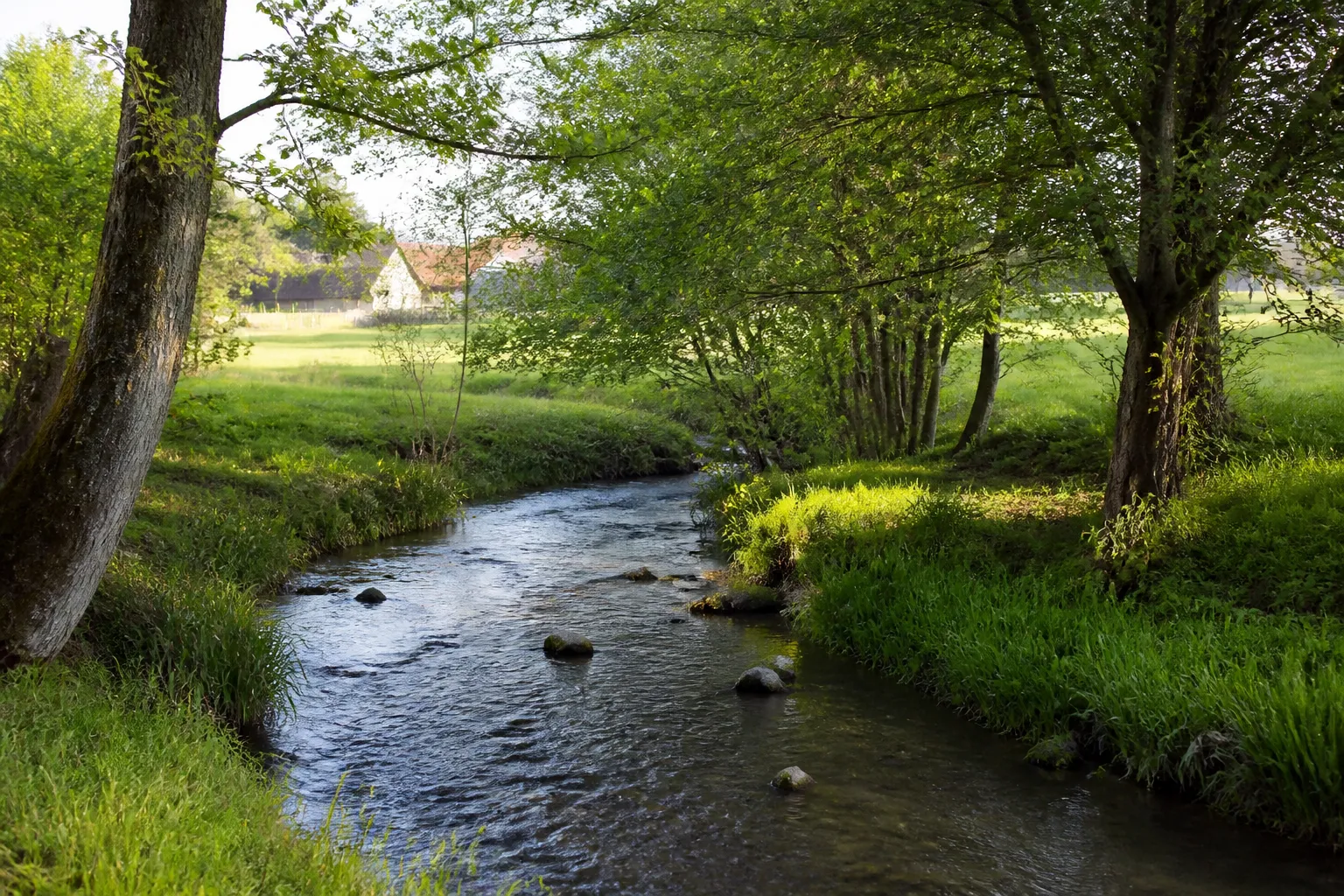 Ruisseau traversant une prairie au bord d’un village
