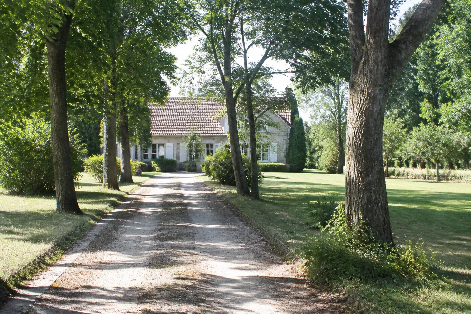 Grand terrain arboré autour d’une maison