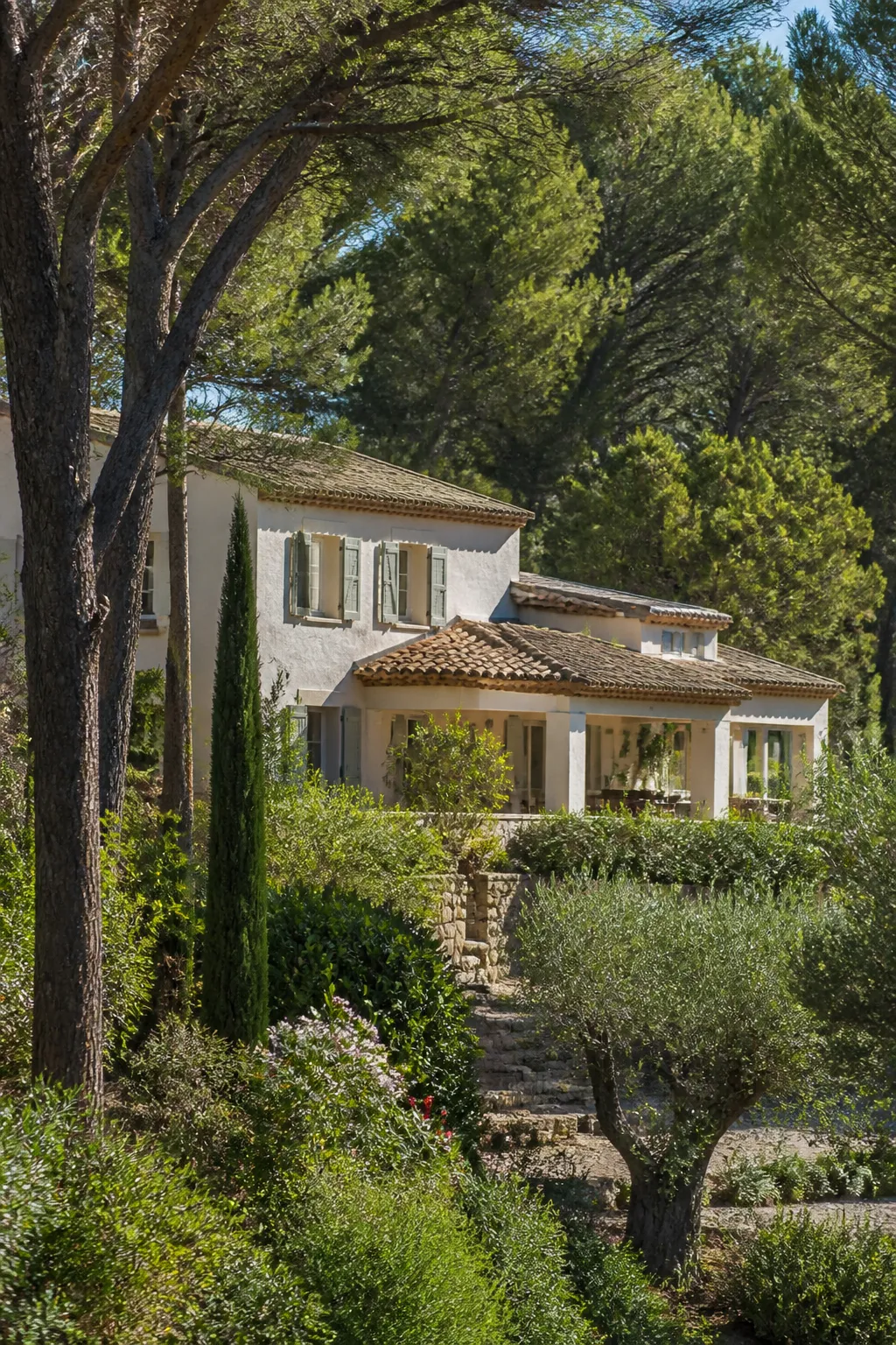 Villa aux murs clairs entourée de pins et de végétation méditerranéenne