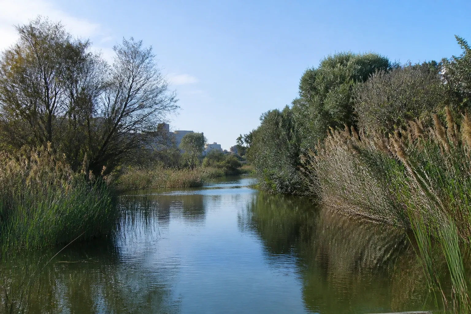 Cours d’eau calme bordé de végétation en zone urbaine
