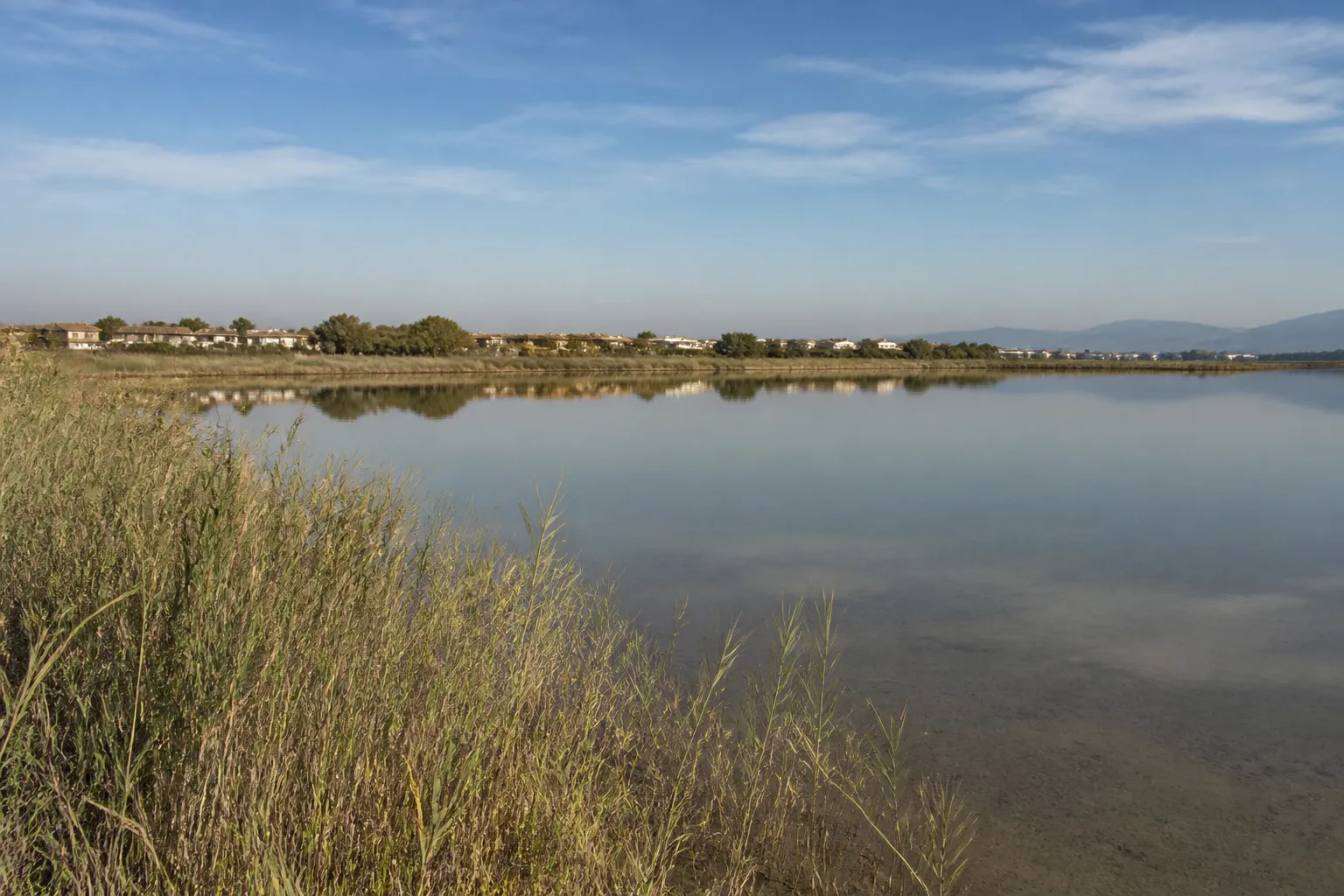 Étang littoral calme avec des habitations au loin