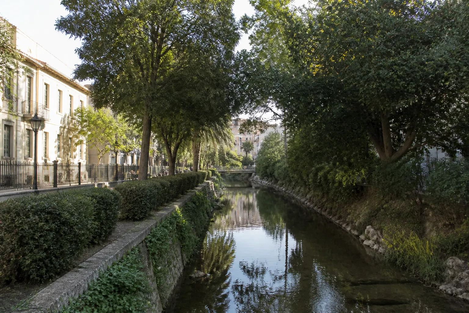 Berge d’une petite rivière urbaine bordée d’arbres et de logements