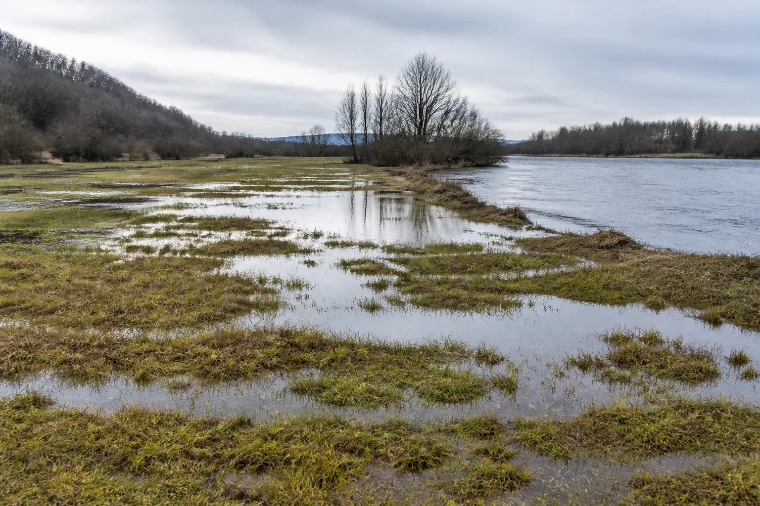Prairie inondée en bordure de rivière sous un ciel d’hiver