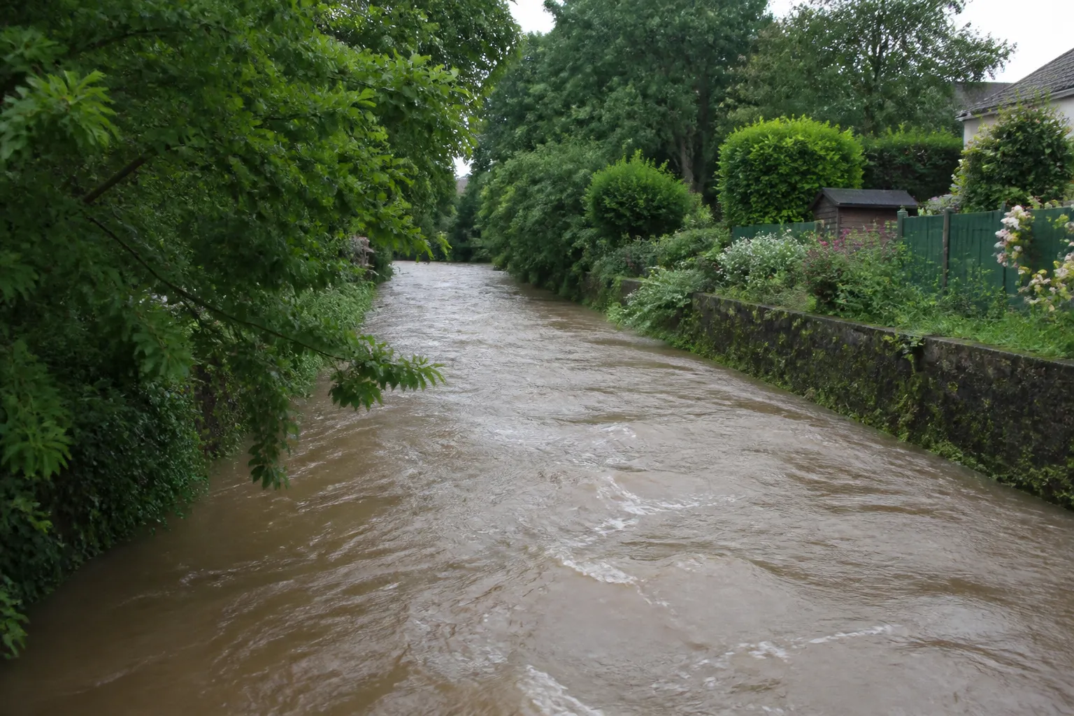 Petite rivière en crue longeant des jardins