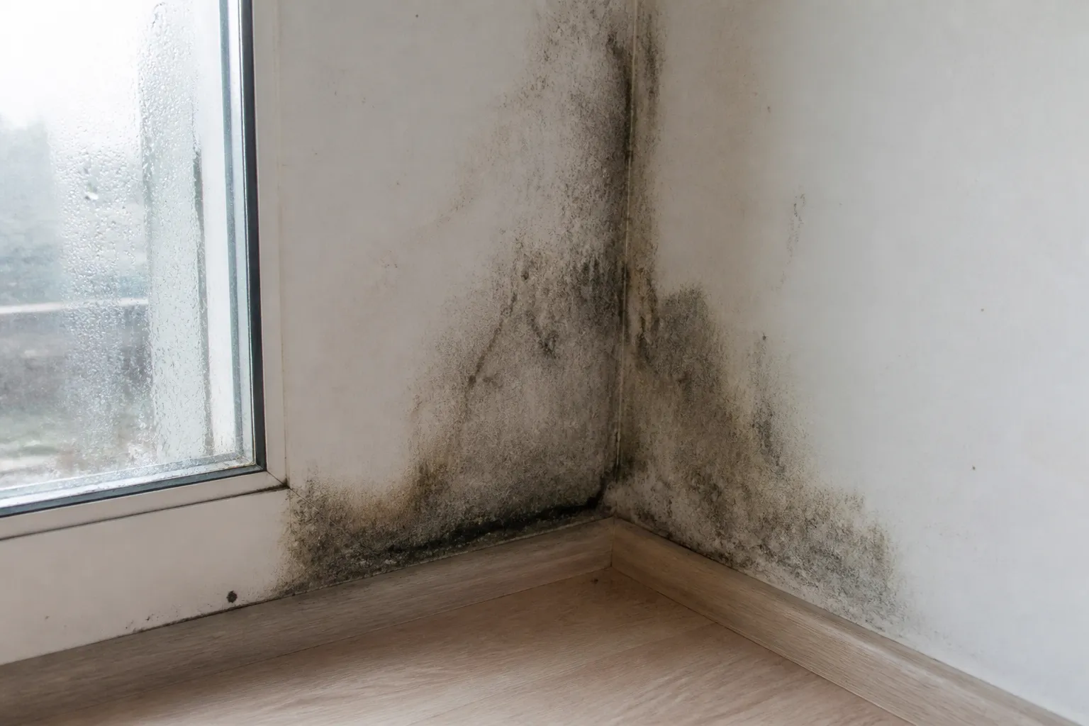 Traces de condensation et moisissures en angle de mur près d’une fenêtre
