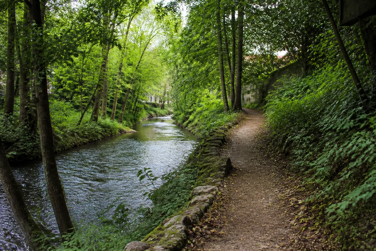 Petite rivière dans une vallée boisée