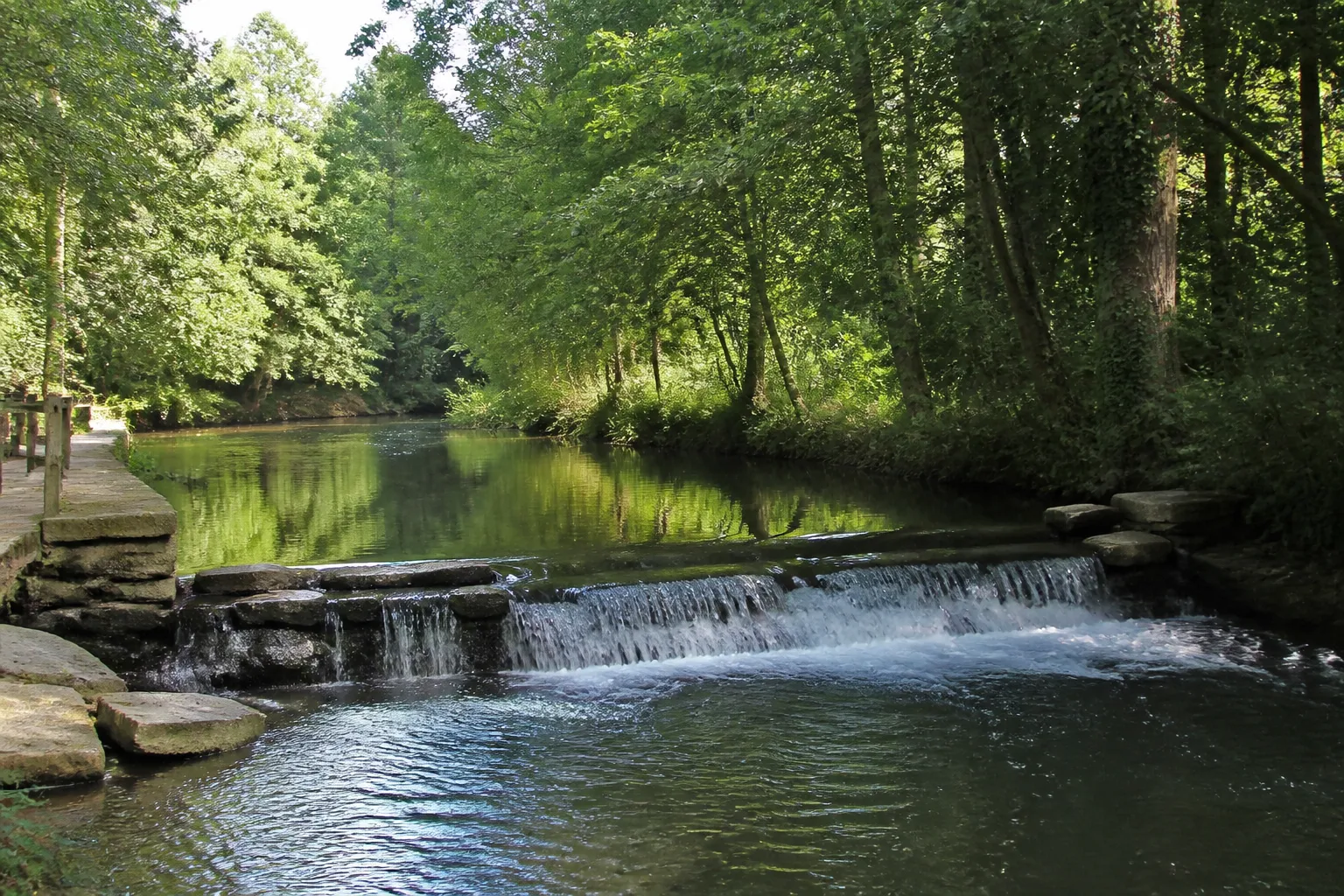 Rivière lente entre des berges boisées