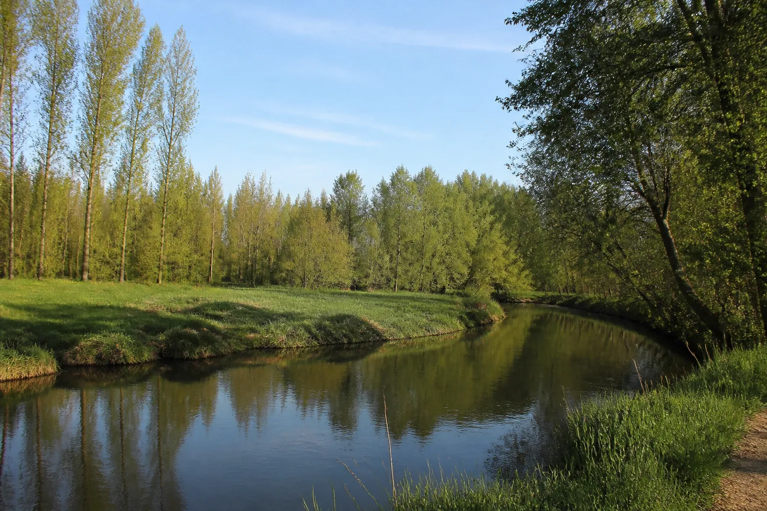 Bras de rivière bordé de prairies humides et de peupliers