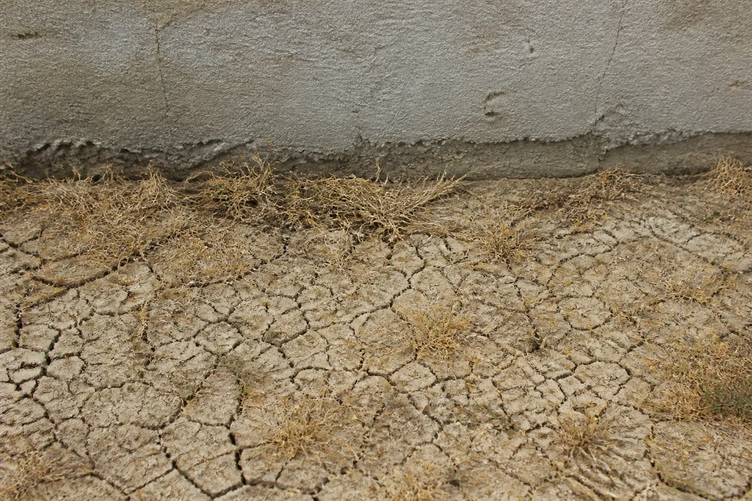 Sol craquelé par la sécheresse au pied d’un mur de maison