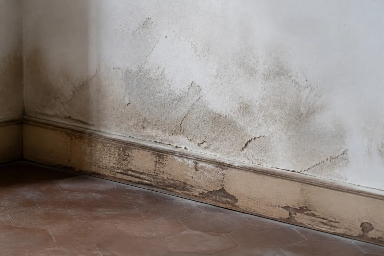 Plinthe abîmée et enduit dégradé en bas d’un mur intérieur