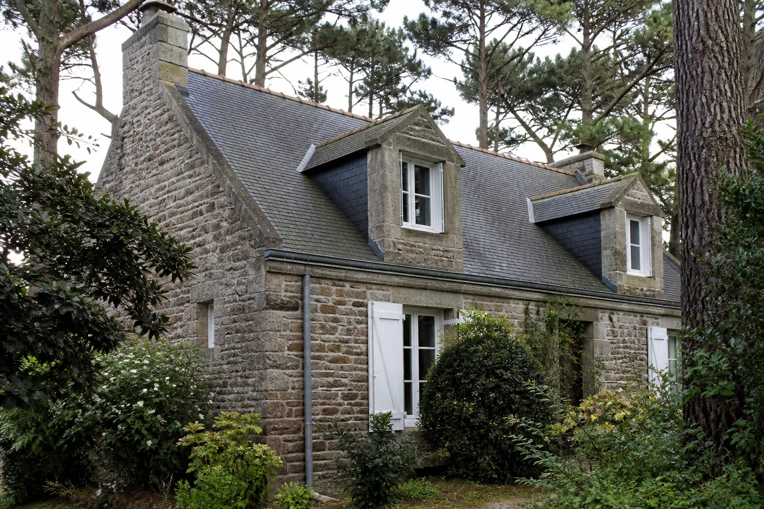 Maison entourée de pins et de végétation