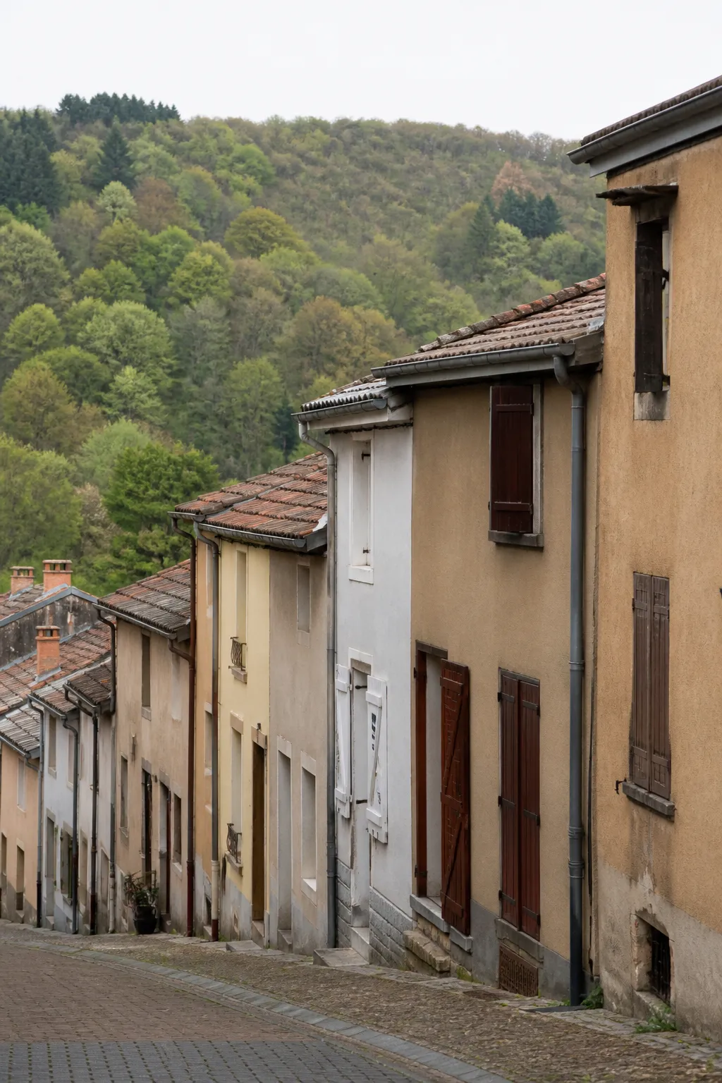 Maisons mitoyennes anciennes sur une rue en pente dans une vallée