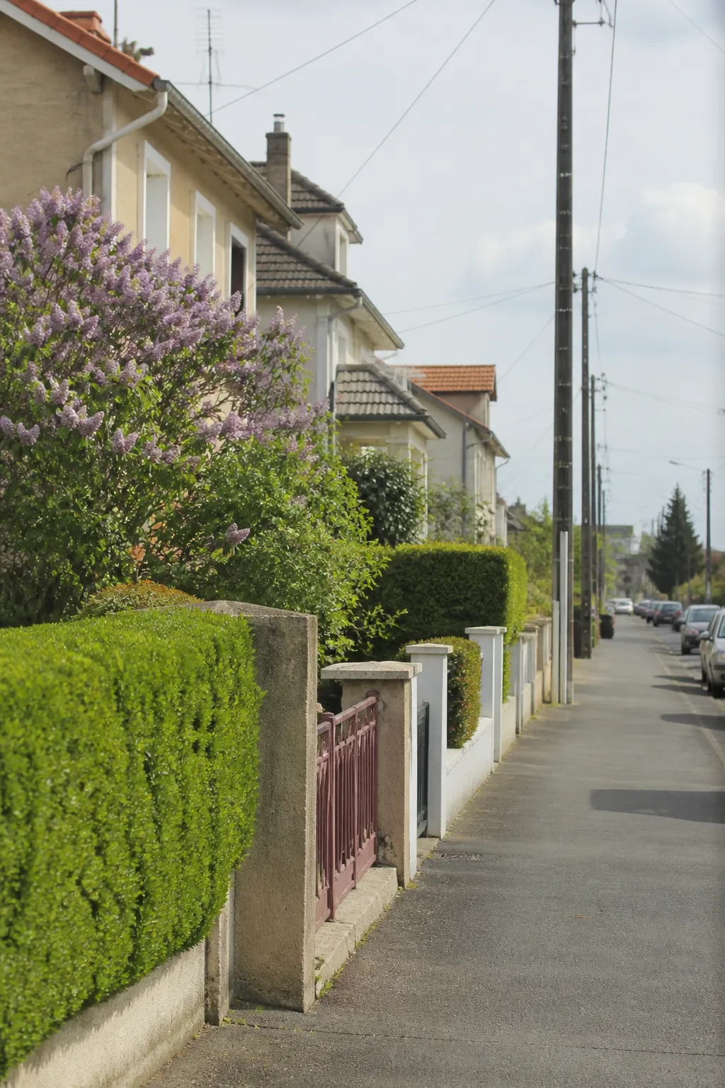 Rue résidentielle de maisons individuelles dans une ville de l’Est