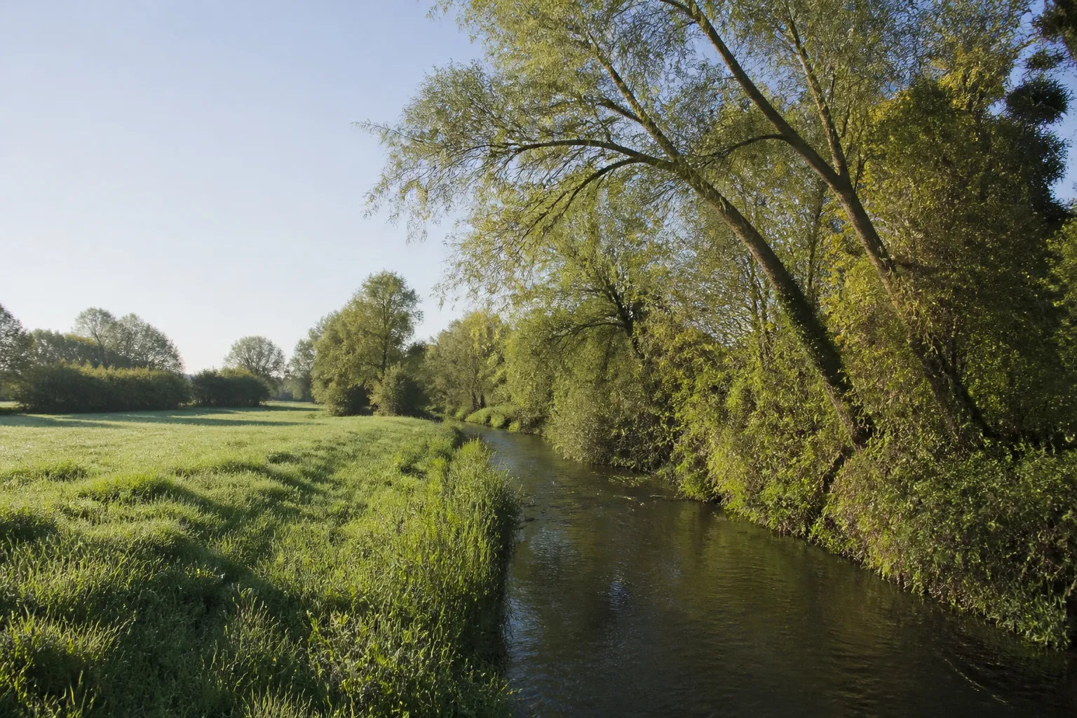 Prairie inondable au bord d’une rivière