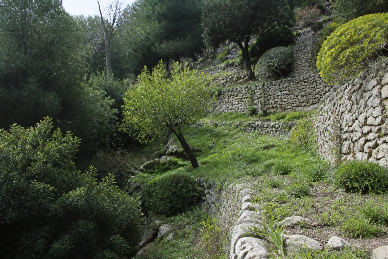 Jardin en terrasses retenu par des murs de pierre