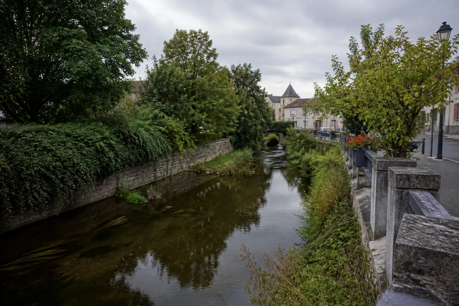 Petite rivière bordée de végétation en ville