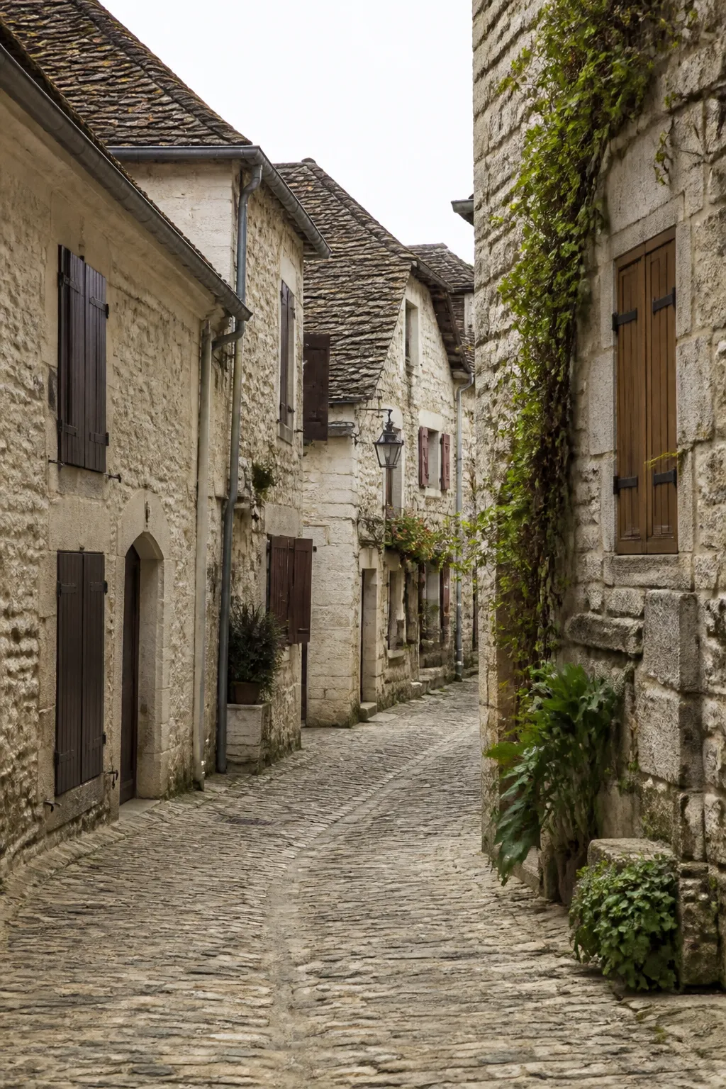 Ruelle pavée bordée de maisons anciennes en pierre