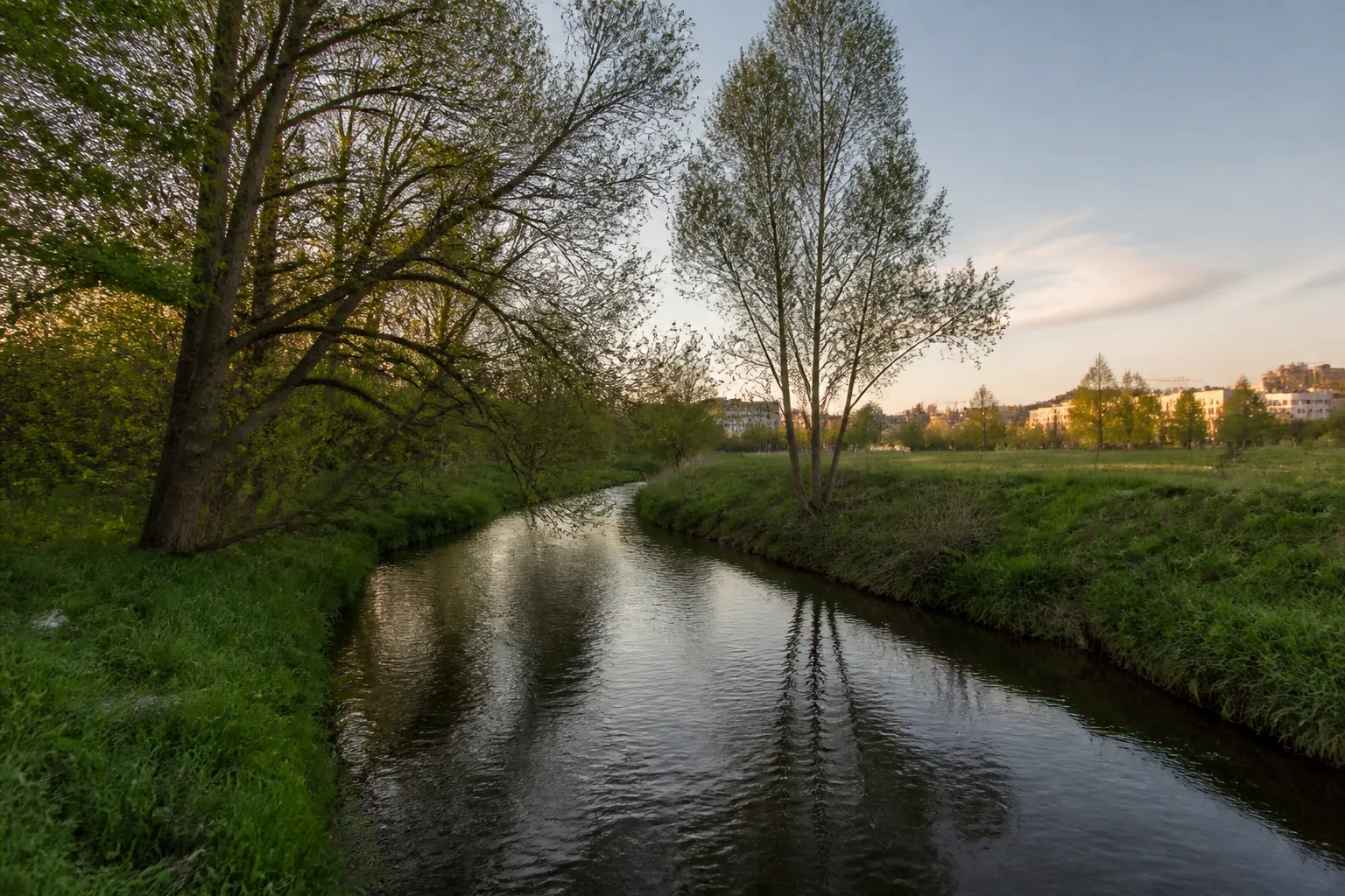 Petite rivière bordée d’arbres en lisière de ville