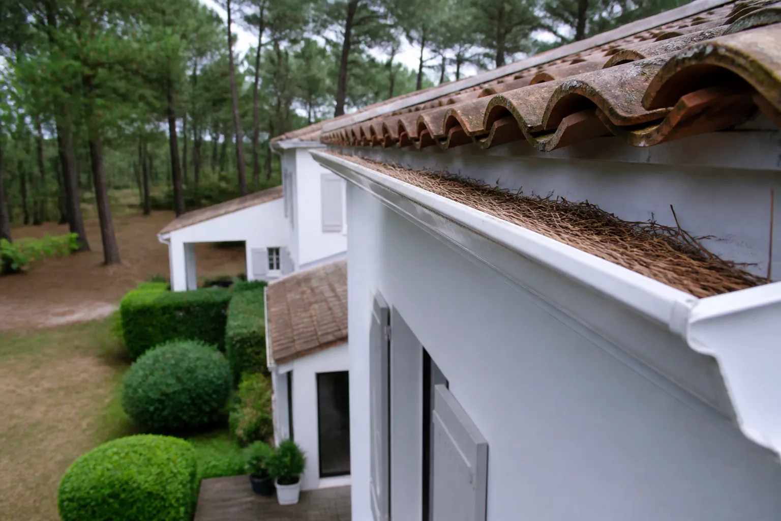 Maison avec jardin en lisière d’un bois sur la côte basque