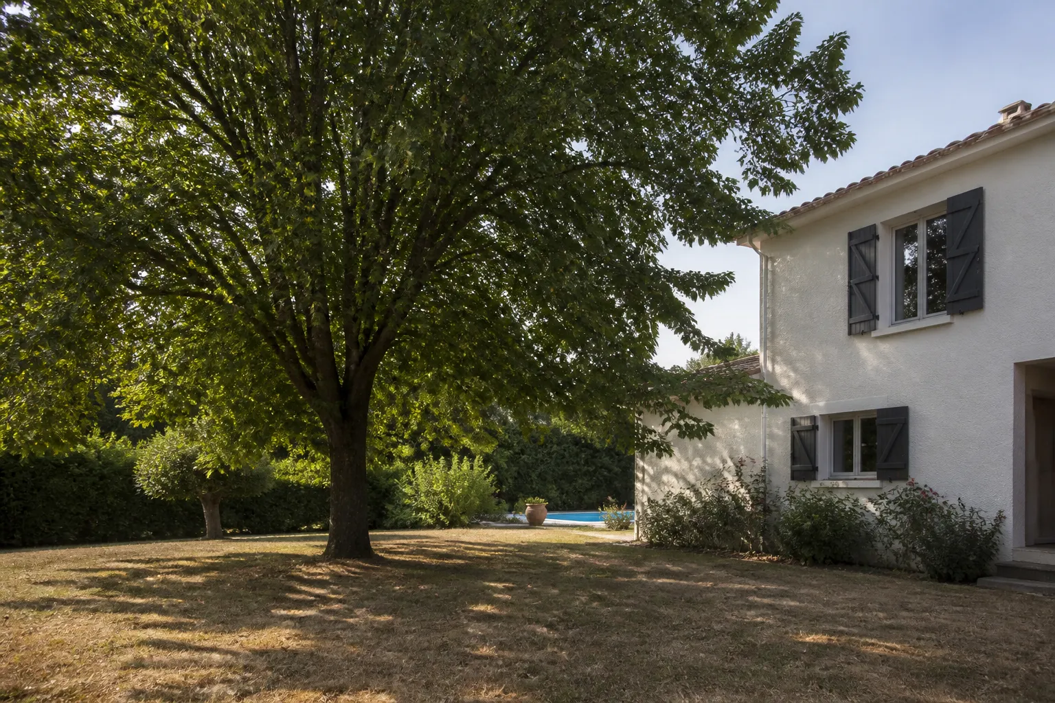 Arbre proche de la façade d’une maison