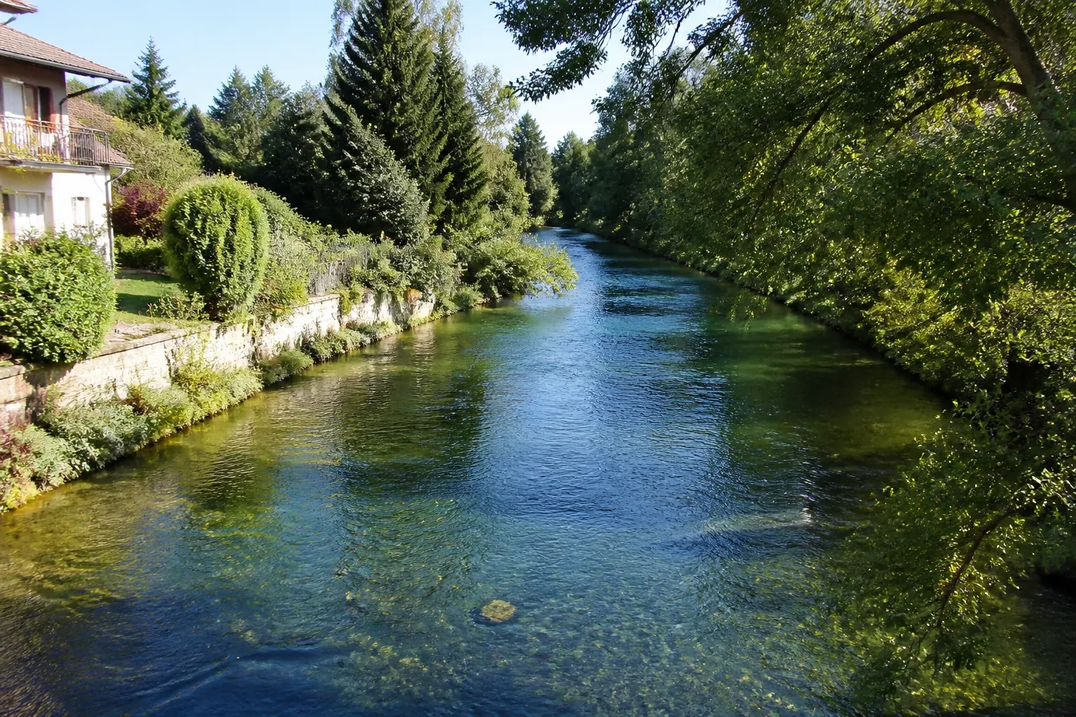 Rivière aux berges boisées en bordure d’un quartier résidentiel