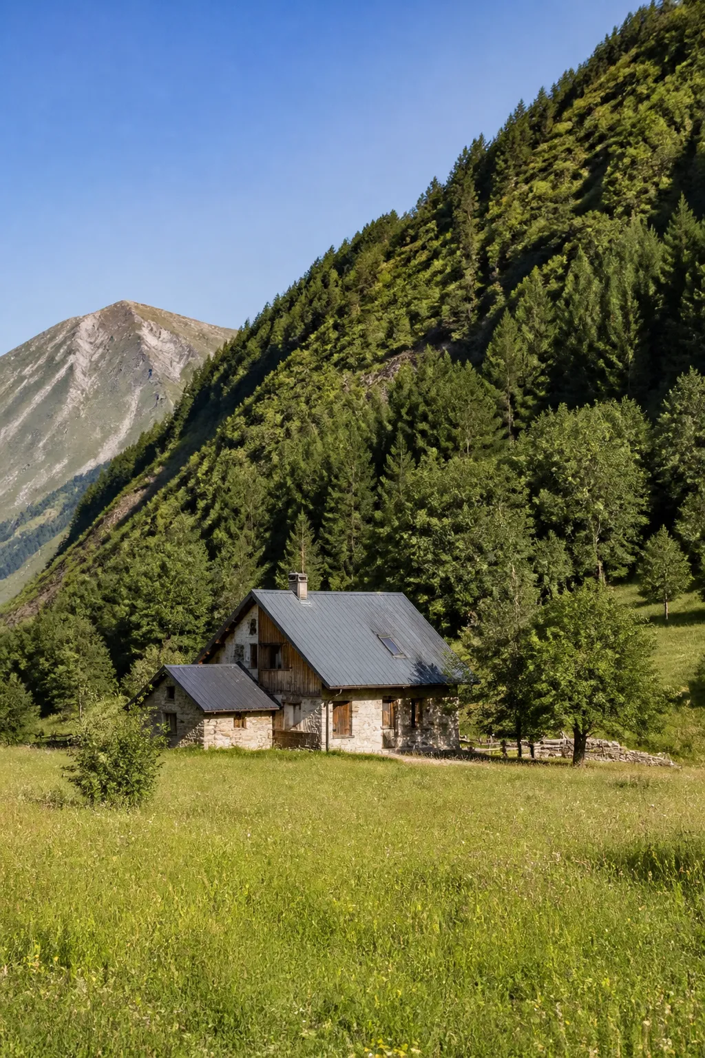 Maison de montagne au pied d’un versant boisé dans une vallée alpine