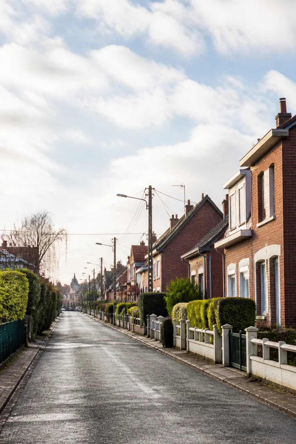 Pavillons en brique avec jardins dans un quartier résidentiel