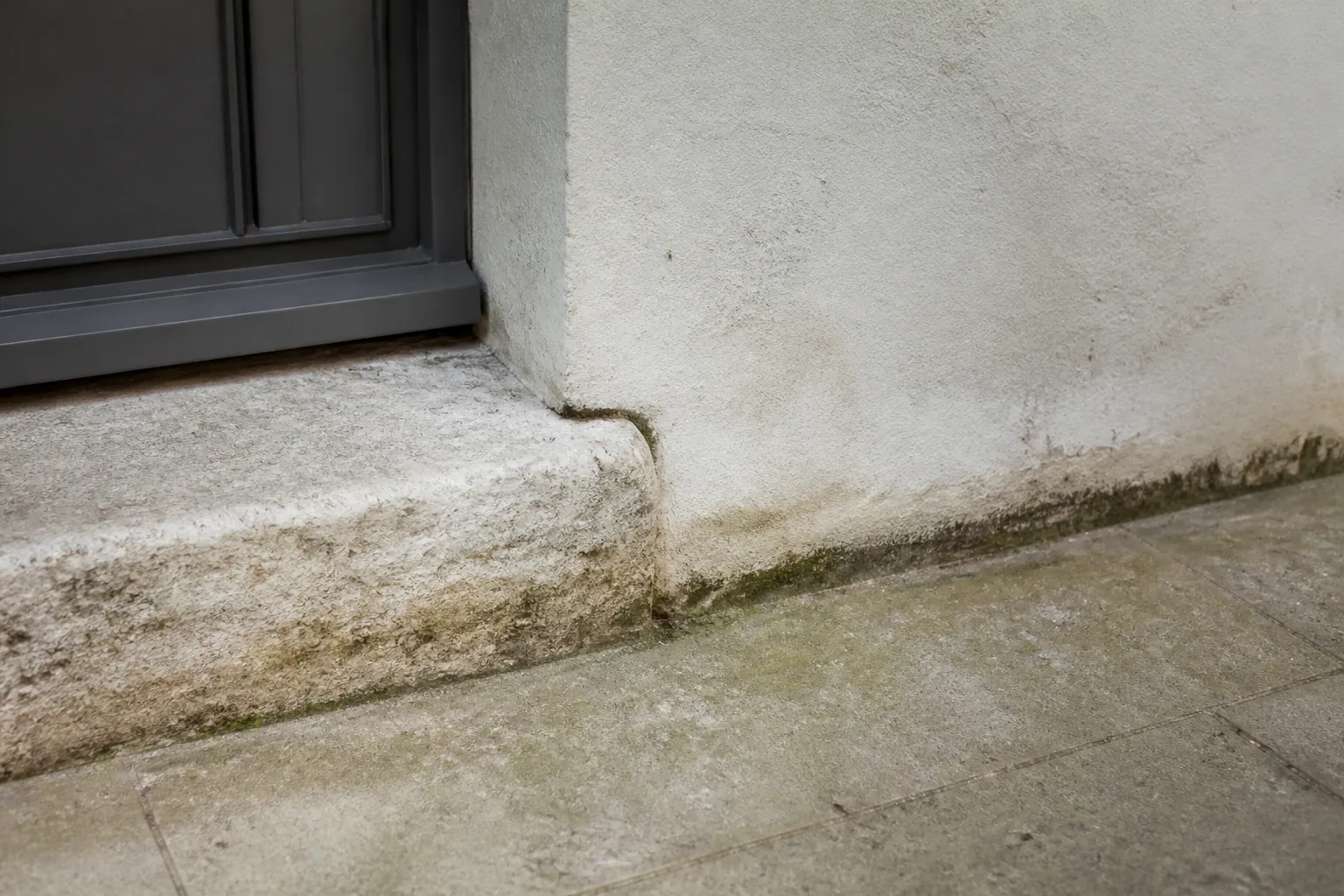 Seuil de porte d’entrée et pied de mur en rez-de-chaussée