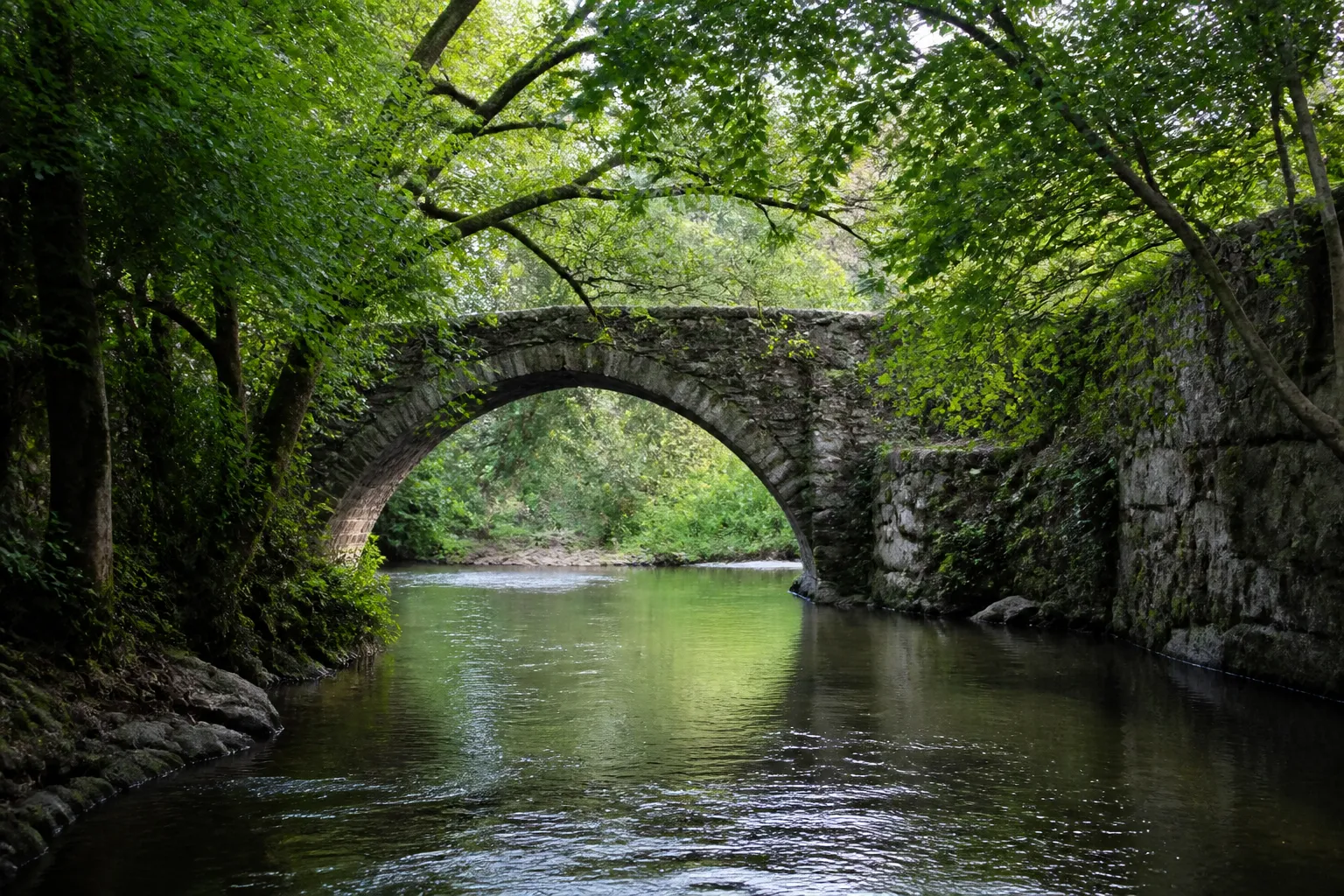 Rivière calme bordée d’arbres sous un pont en pierre
