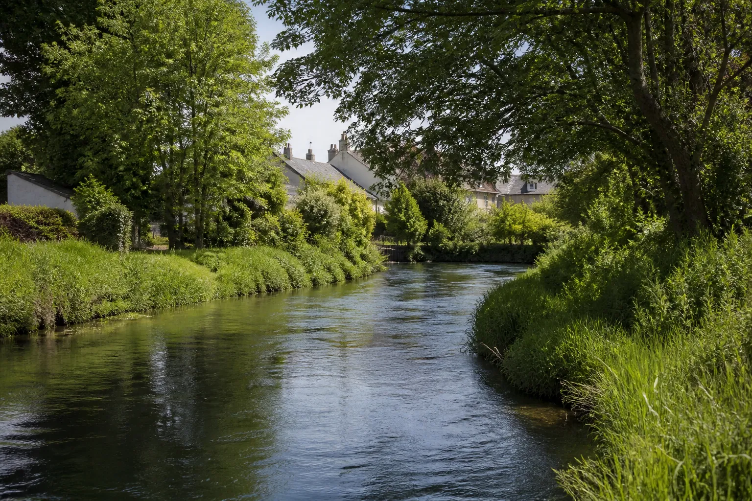 Berge végétalisée d’une rivière lente en ville
