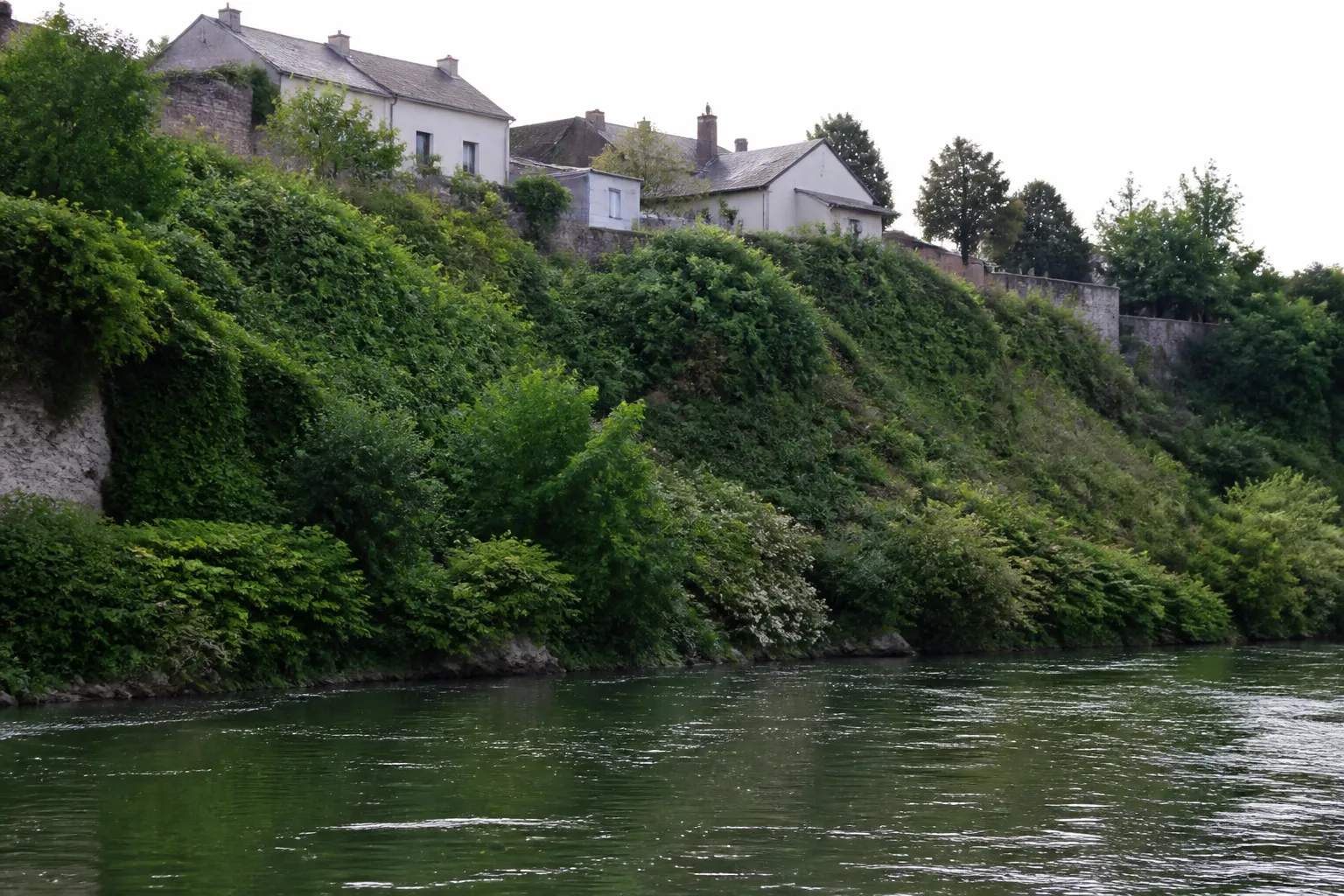 Berge de rivière en pente avec végétation et maisons en hauteur